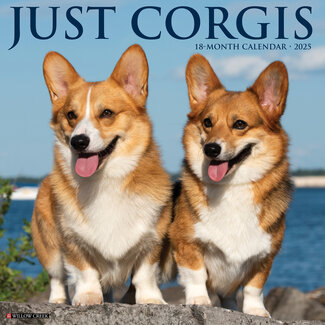 Willow Creek Calendario Welsh Corgi 2025