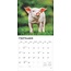 Calendrier des porcs 2025