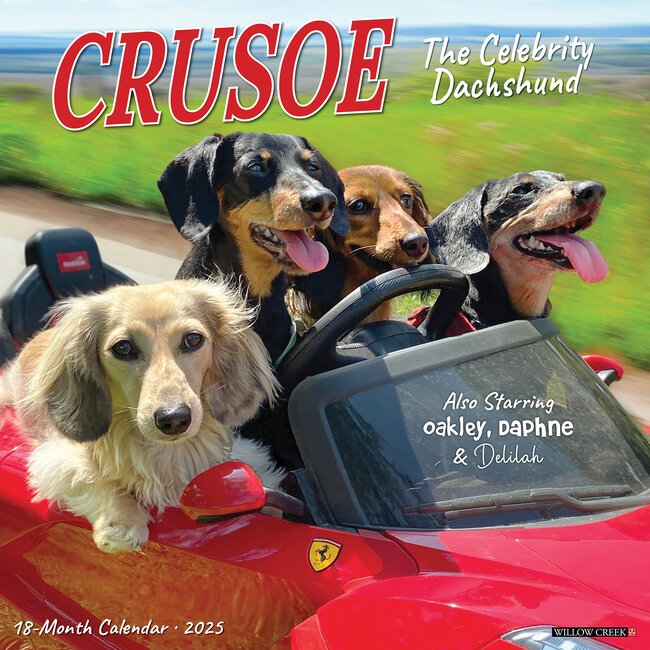 Willow Creek Crusoe the Dachshund Calendar 2025