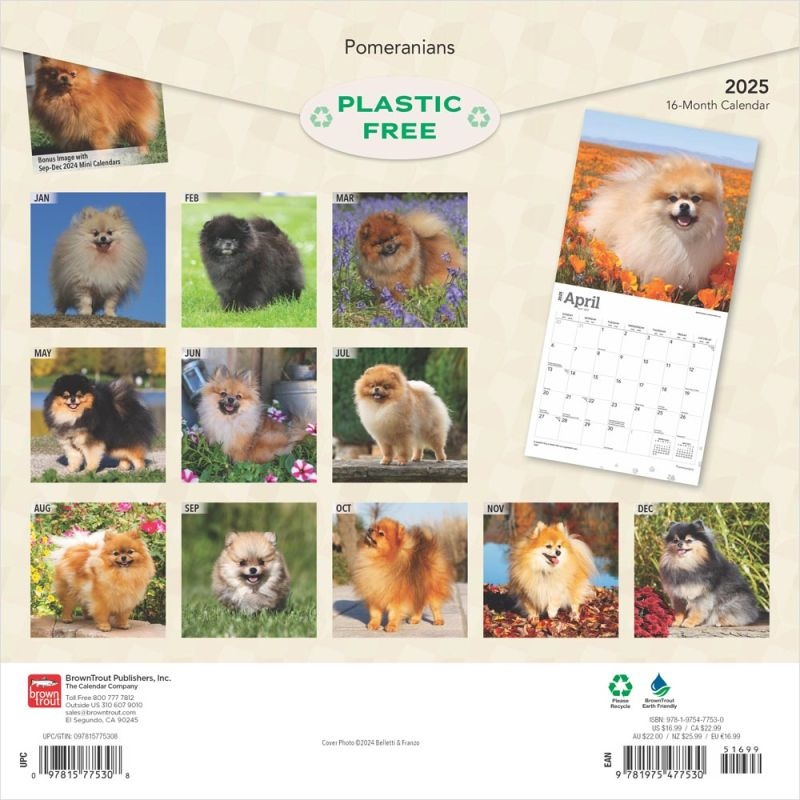 Pomeranian Calendar 2025 Needed Order Easily Online Kalenderwinkel.nl