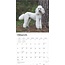 Calendrier caniche 2025