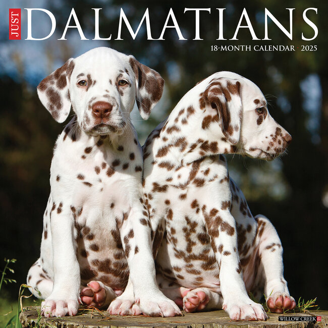 Calendario Dalmata 2025