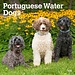 Browntrout Calendario del perro de aguas portugués 2025