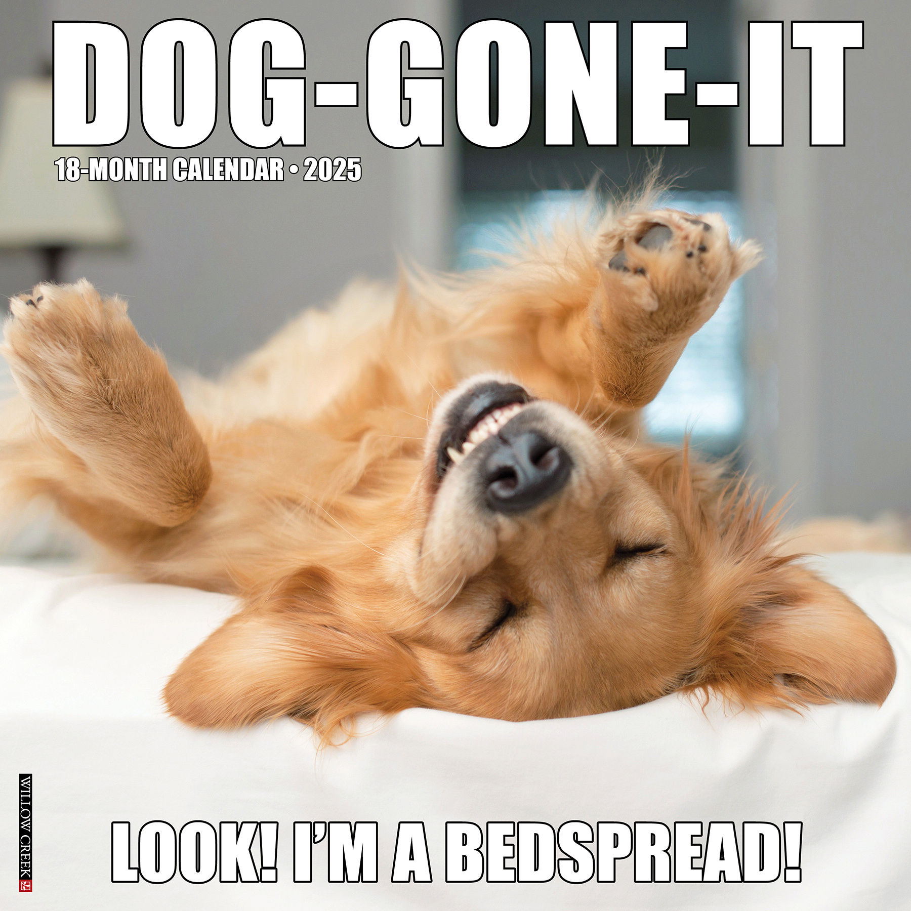 Dog-Gone-It Kalender 2025