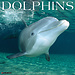 Willow Creek Dolphin Calendar 2025