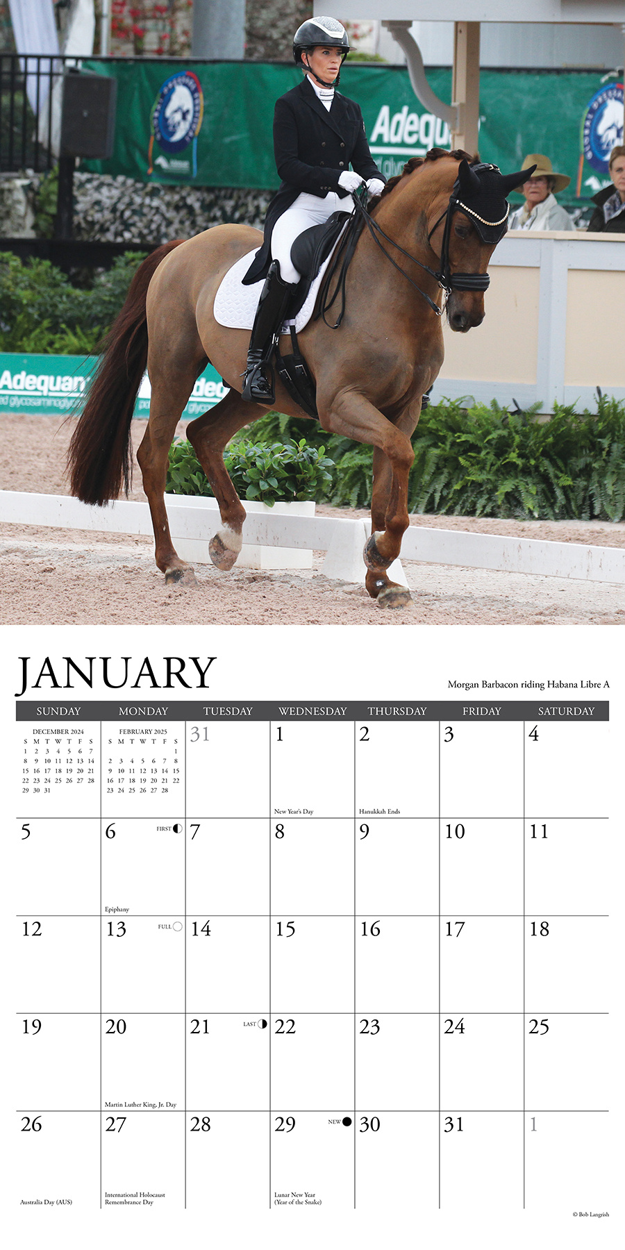 Buy Dressage Calendar 2025 simply order online Kalenderwinkel.nl