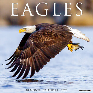 Willow Creek Calendario Sea Eagle 2025