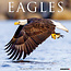 Calendario Sea Eagle 2025