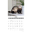 Ferrets Calendar 2025