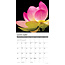 Calendrier des fleurs 2025