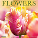 Willow Creek Blumen Kalender 2025