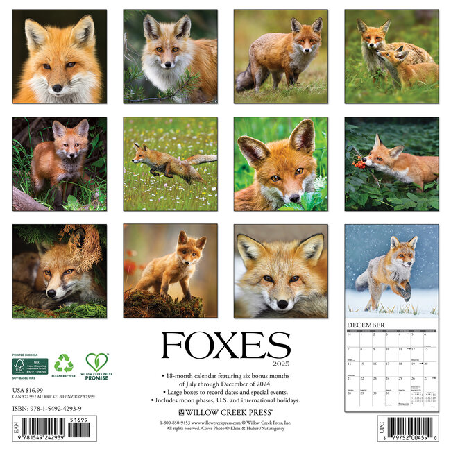 Buying Foxes Calendar 2025 Order easily online Kalenderwinkel.nl