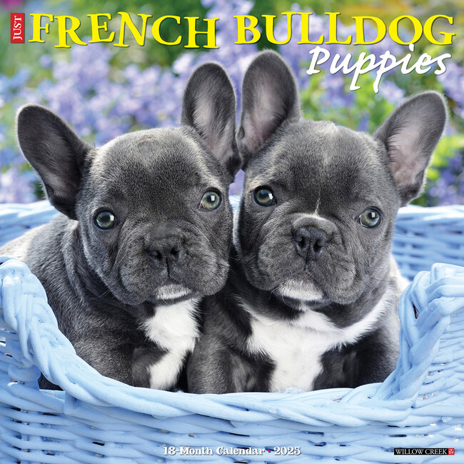 Calendario Cachorros Bulldog Francés 2025
