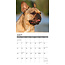 Calendario Bulldog Francese 2025