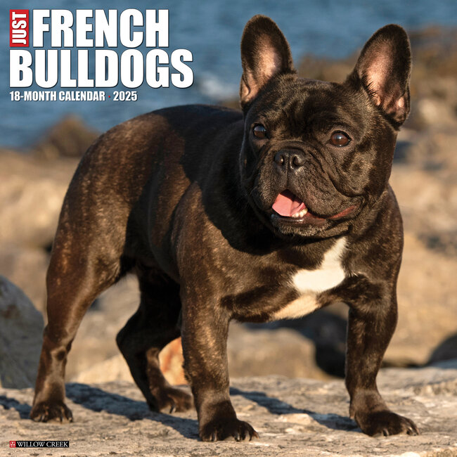 Willow Creek Calendario Bulldog Francés 2025