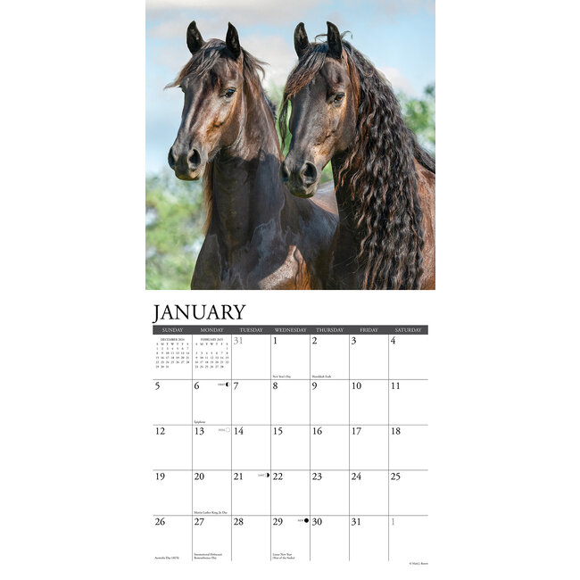 Buying Friesian Horses Calendar 2025 Order easily online