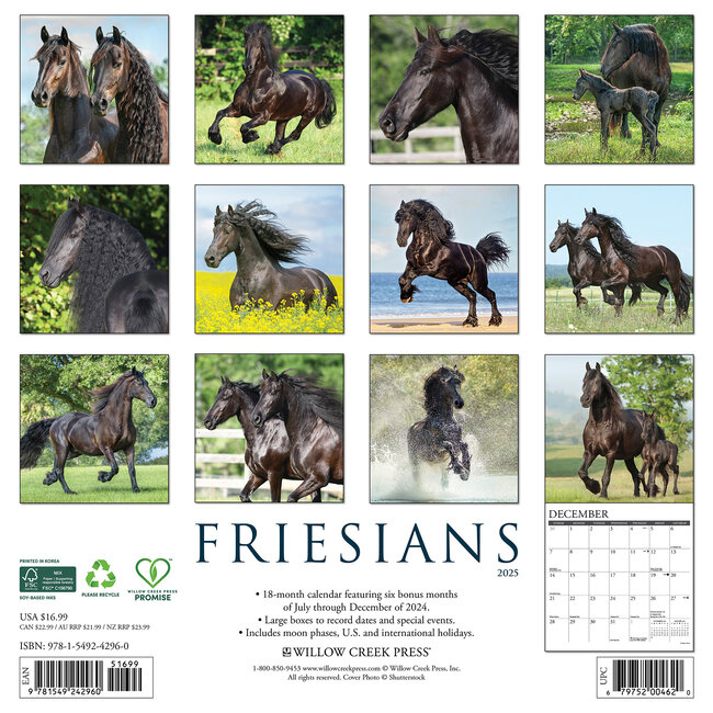 Buying Friesian Horses Calendar 2025 Order easily online