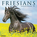 Willow Creek Friesian Horses Calendar 2025