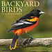Willow Creek Calendario de aves de jardín 2025