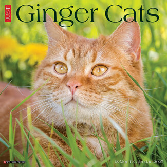 Willow Creek Calendario del gatto rosso 2025