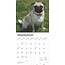 Calendario Pug 2025