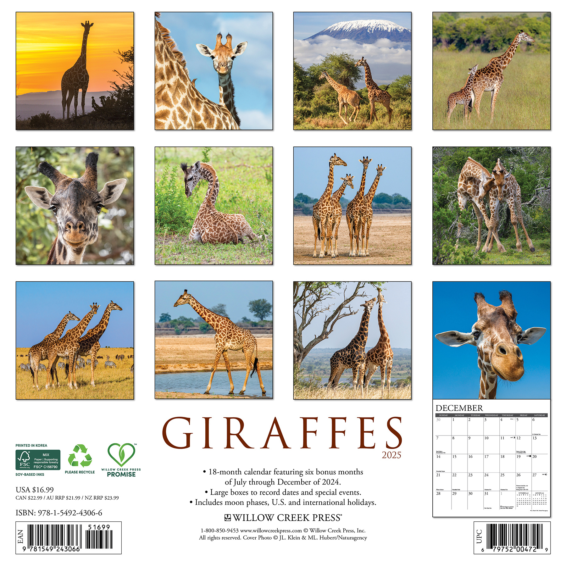 Buy Giraffe Calendar 2025 Order easily online Kalenderwinkel.nl