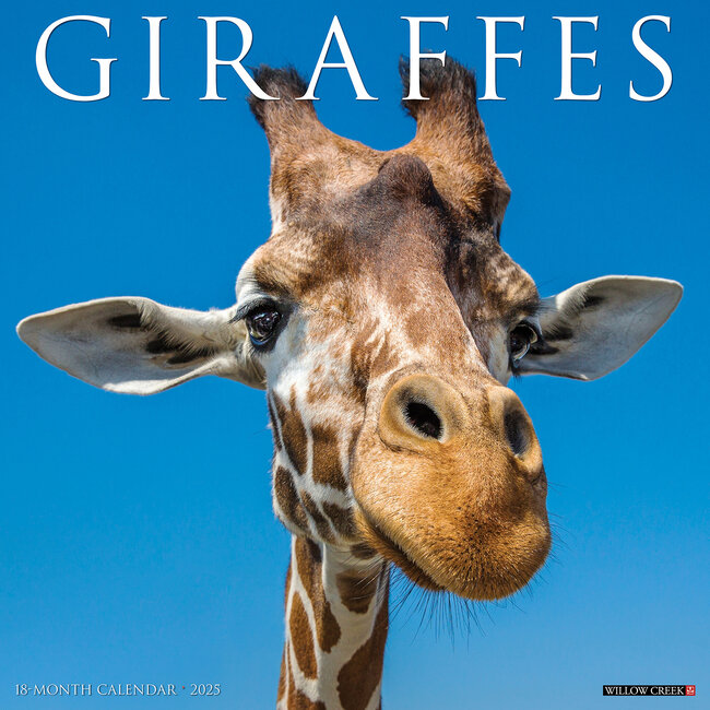 Giraffe Calendar 2025