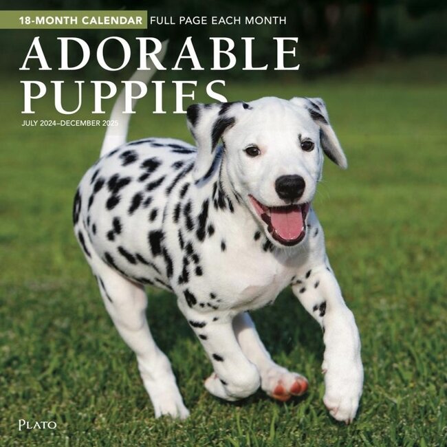 Adorable Puppies Calendar 2025
