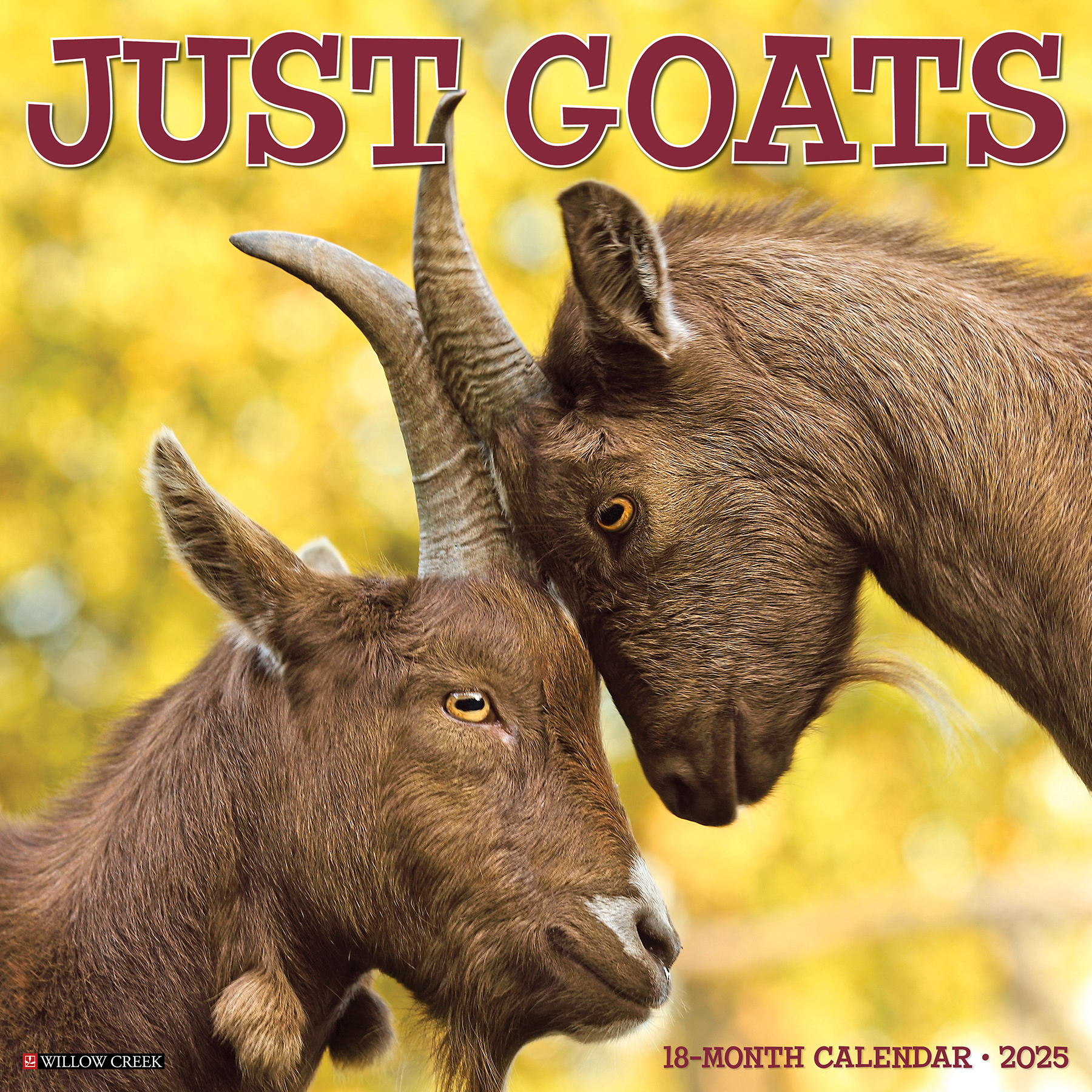 Buy Goat Calendar 2025 Order easily online Kalenderwinkel.nl