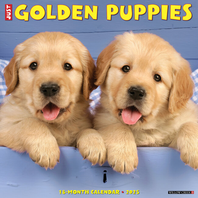 Calendario dei cuccioli di Golden Retriever 2025