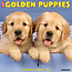 Golden Retriever Puppies Calendar 2025