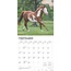 Calendario del Quarter Horse 2025