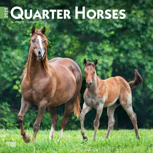 Quarter Horse Kalender 2025