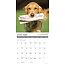 Golden Rules Calendar 2025