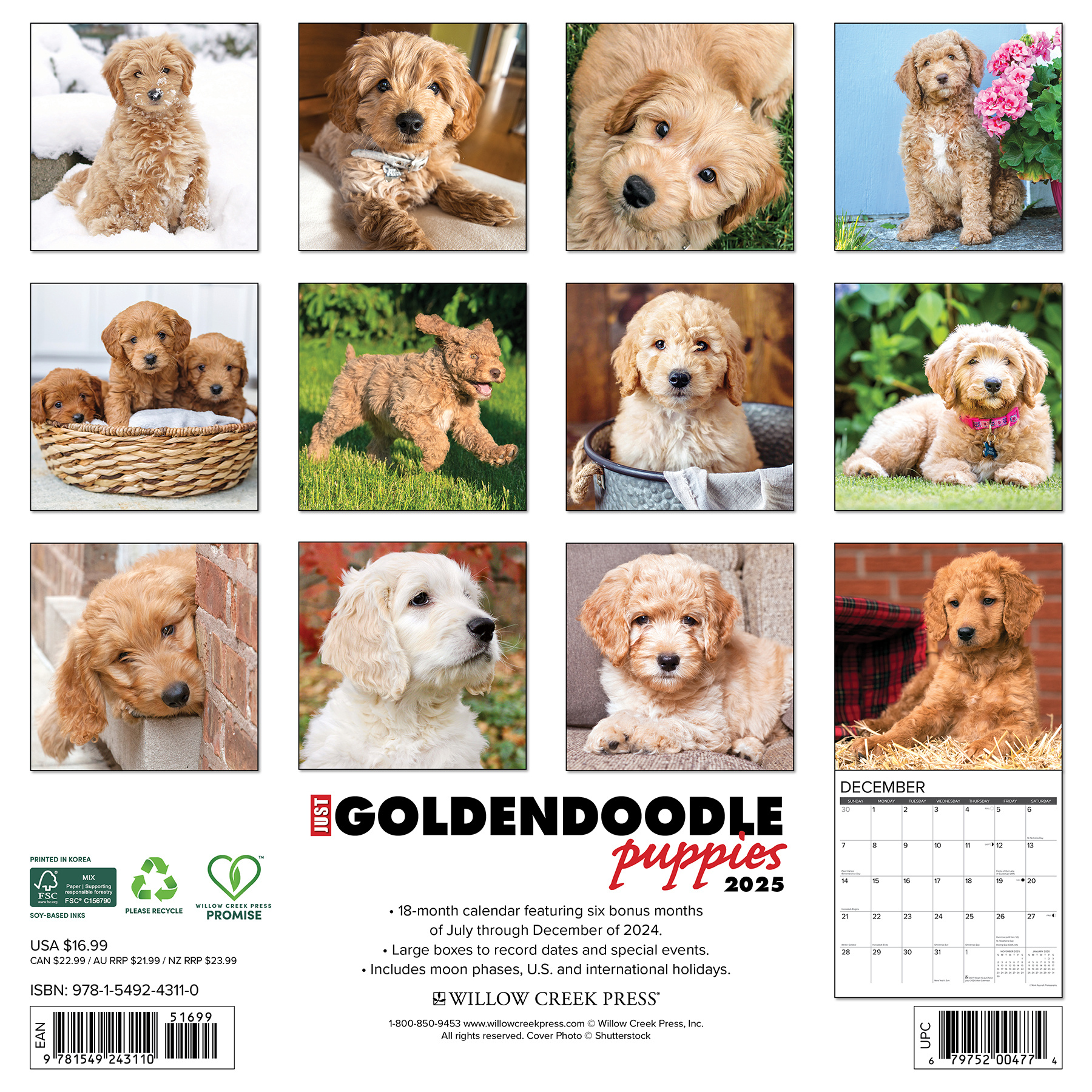 Comprar Goldendoodle Cachorros Calendario 2025 Orden en línea