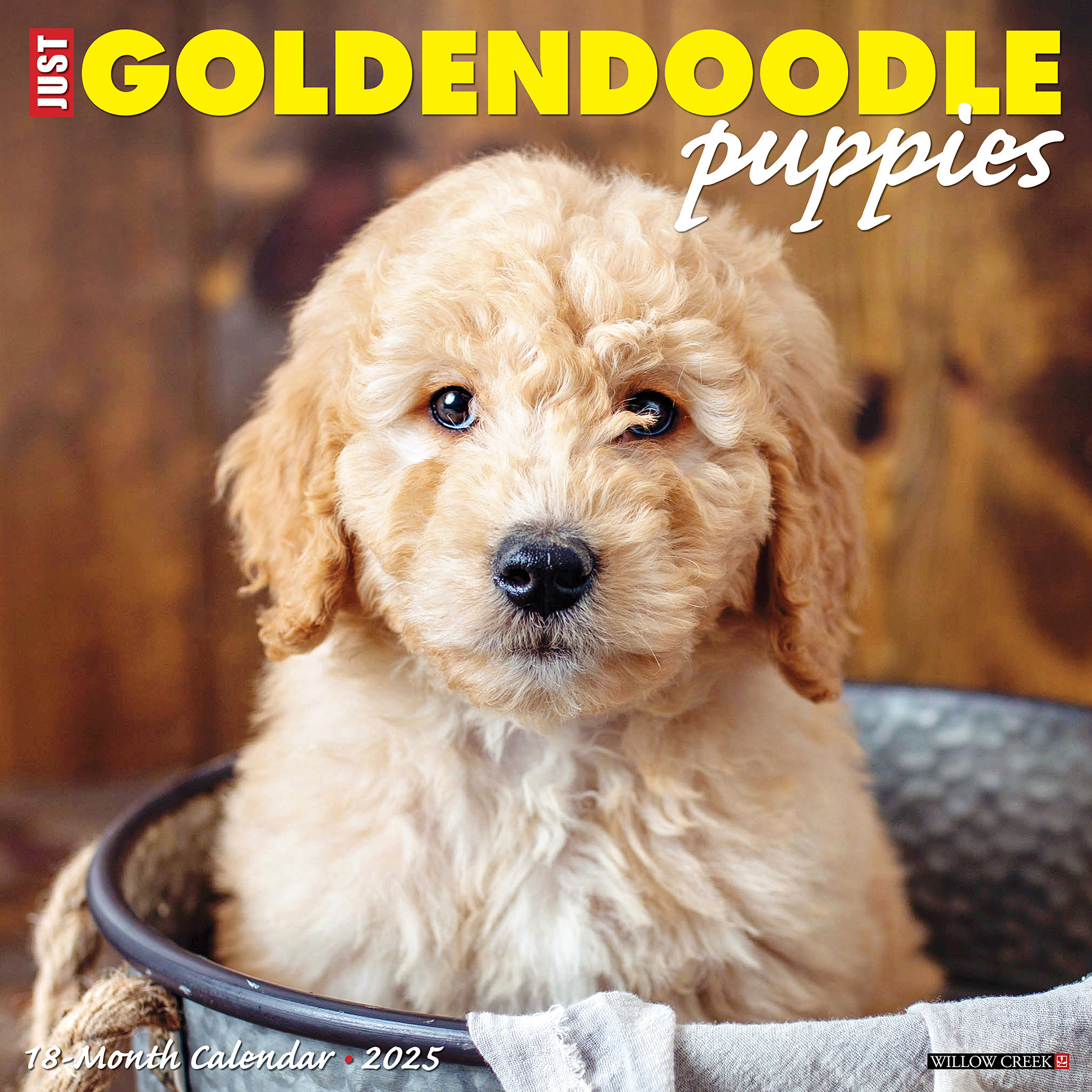 Goldendoodle Puppies Kalender 2025
