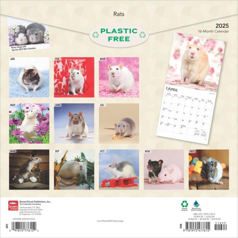 Rats Calendar 2025 Buy with beautiful pictures of the Rats