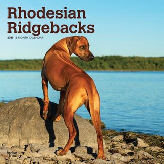 Browntrout Rhodesian Ridgeback Calendario 2025