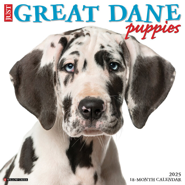Willow Creek Great Dane Puppies Calendar 2025
