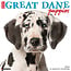 Willow Creek Great Dane Puppies Calendar 2025