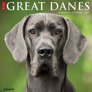 Willow Creek Great Dane Calendar 2025