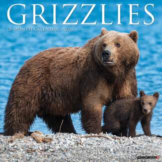 Willow Creek Grizzlies Calendar 2025