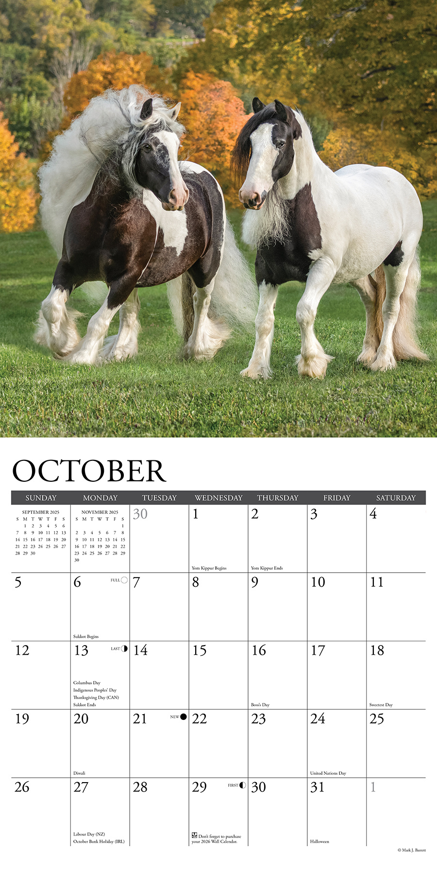 Buy Gypsy Vanner Horse Calendar 2025 Order online easily