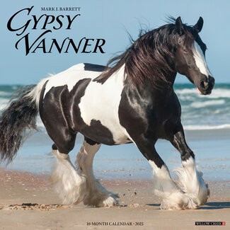 Willow Creek Gypsy Vanner Horse Calendar 2025