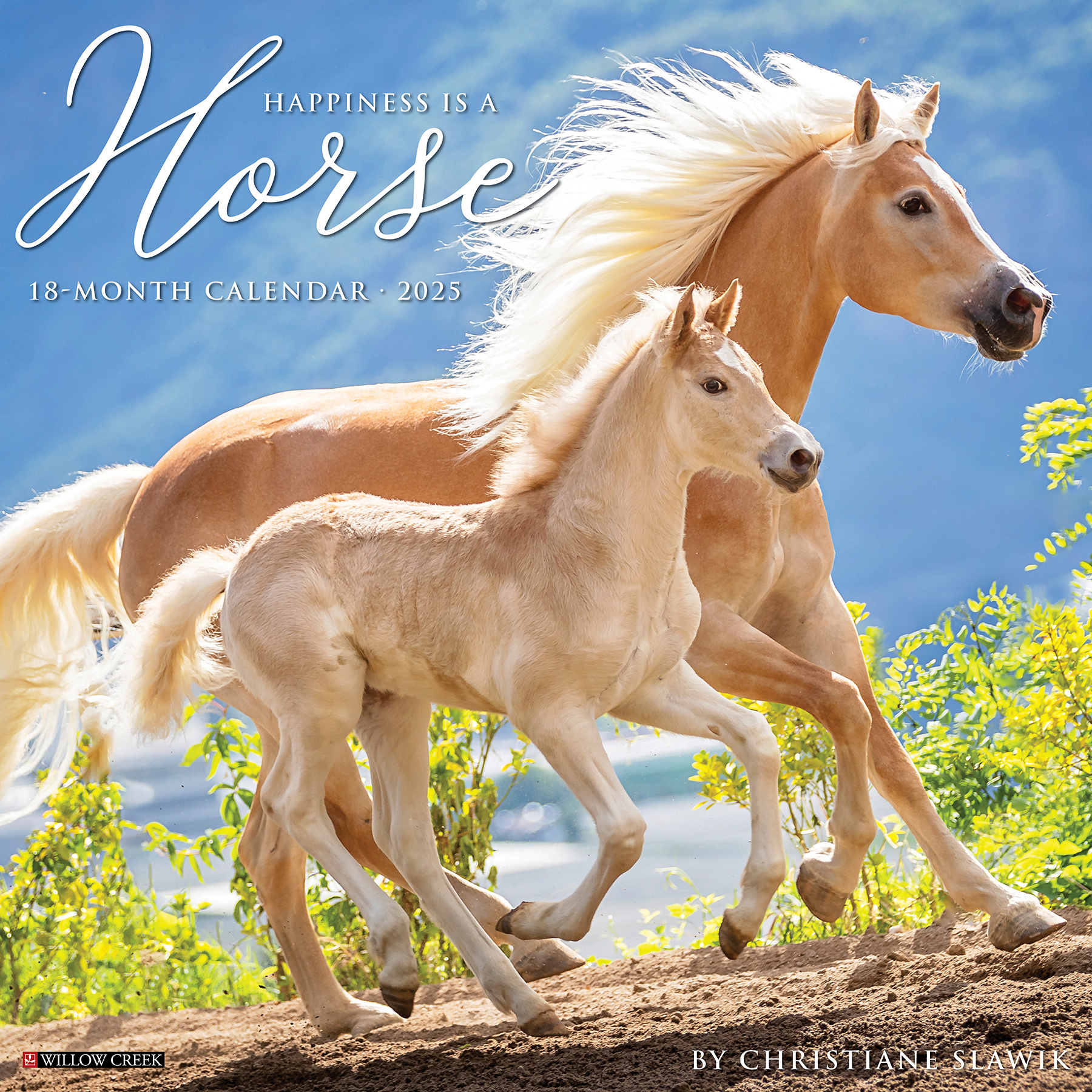 Happiness is a Horse Kalender 2025