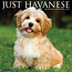 Havanese Calendar 2025