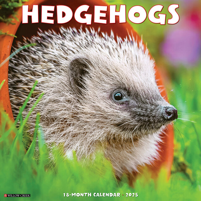Willow Creek Hedgehog Calendar 2025