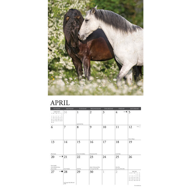 Horses Kalender 2025 Kopen? Bestel eenvoudig Online Kalenderwinkel.nl