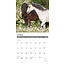 Horses Calendar 2025