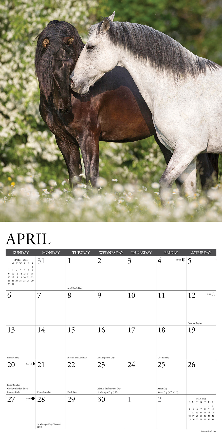 Buying Horses Calendar 2025 simply order online Kalenderwinkel.nl
